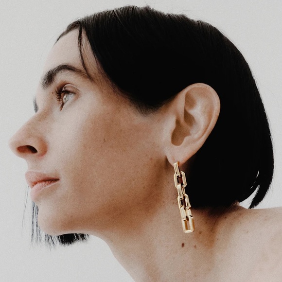 NWT Eddie Borgo Supra Link Drop Earrings - Picture 2 of 8